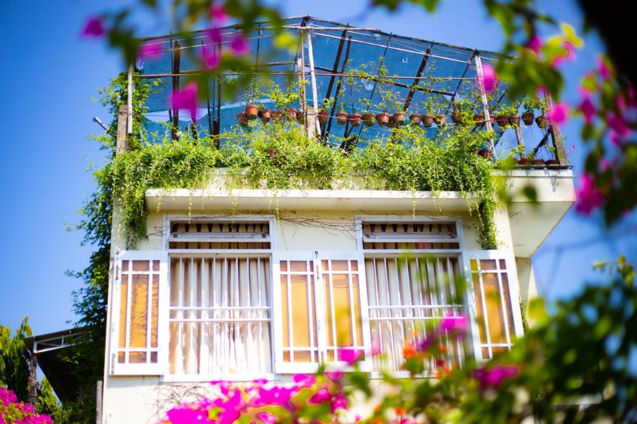 Skybird Homestay Hoi An Exterior photo