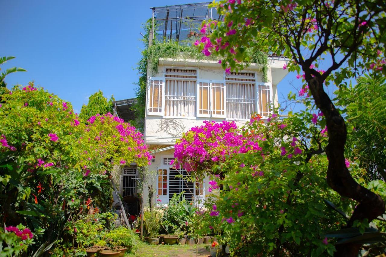 Skybird Homestay Hoi An Exterior photo