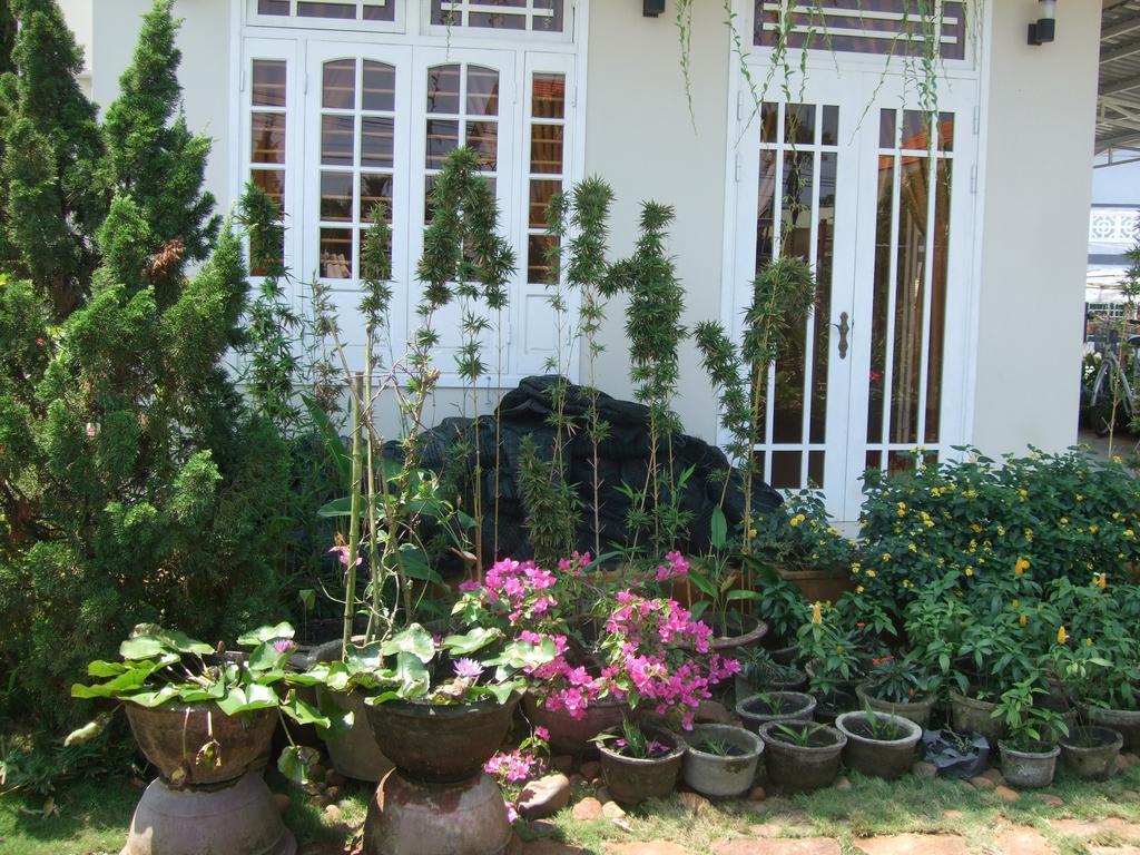 Skybird Homestay Hoi An Exterior photo