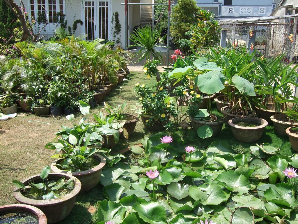 Skybird Homestay Hoi An Exterior photo