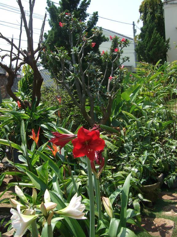 Skybird Homestay Hoi An Exterior photo